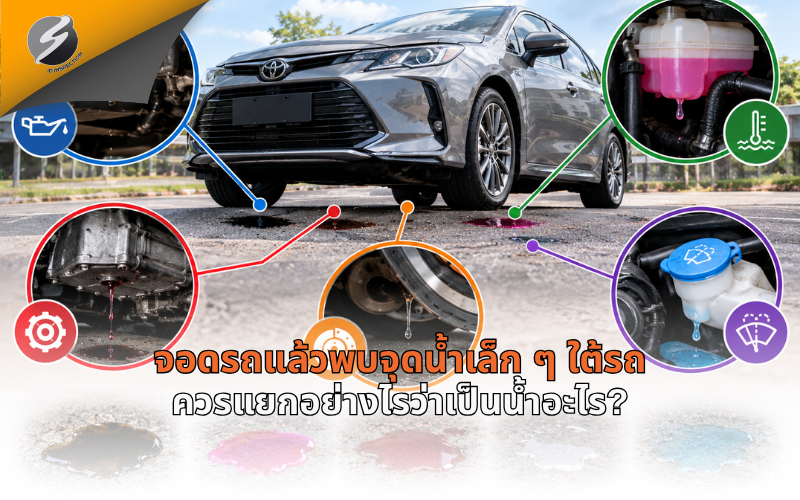 จอดรถแล้วพบจุดน้ำเล็ก ๆ ใต้รถ ควรแยกอย่างไรว่าเป็นน้ำอะไร?